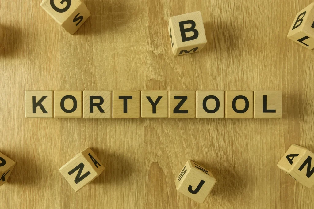 Drewniane klocki układające się w napis „KORTYZOL” – grafika do artykułu o objawach wysokiego kortyzolu i naturalnych sposobach jego obniżenia.