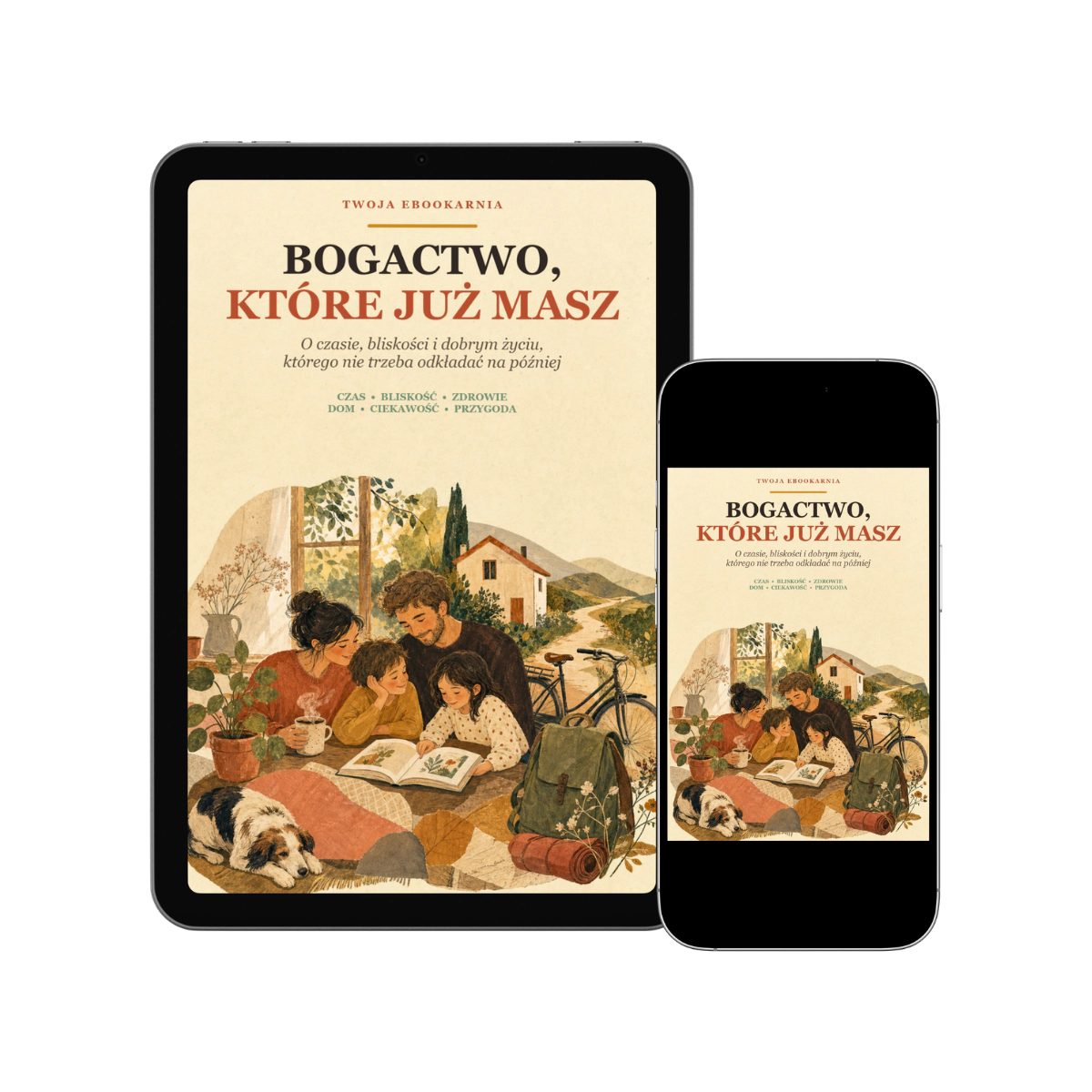 Minimalistyczna biała okładka z brązowo-pomarańczowym tytułem „Bogactwo, które już masz” i zielonym hasłem o wartości bez ceny